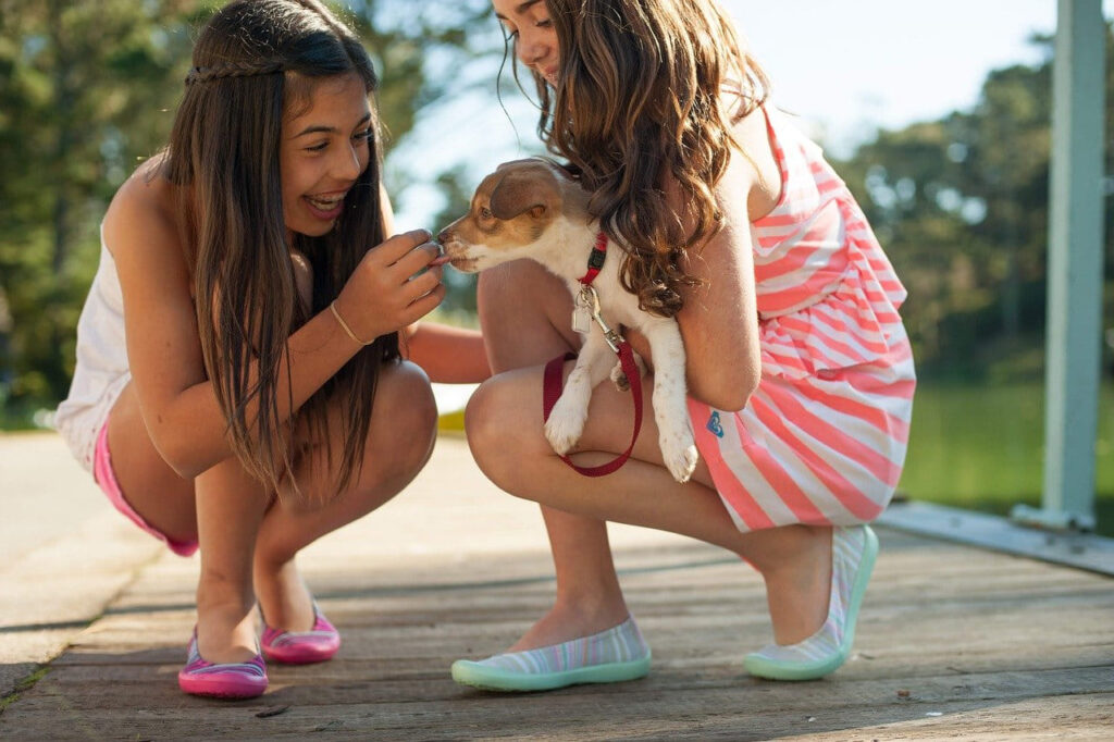 Essential Life Skills That Your Child Must Have 7 girls 5801275 1280