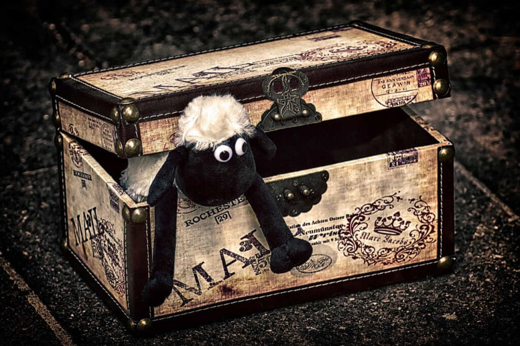 15 exciting gifts for children's birthdays 5 Toy Box
