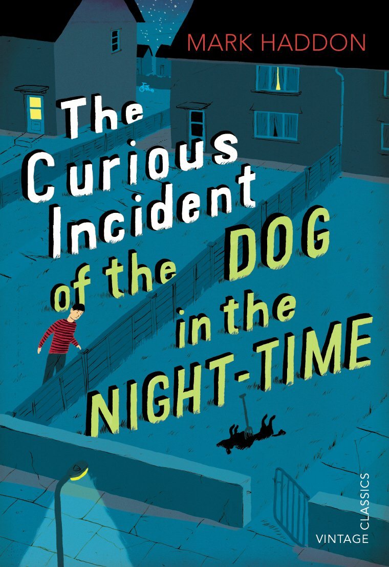 10 Good Books For Teens to Develop Their Reading habit 7 The Curious Incident of the Dog in the Night time by Mark Haddon